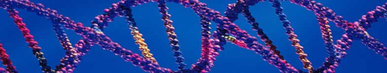 DNA